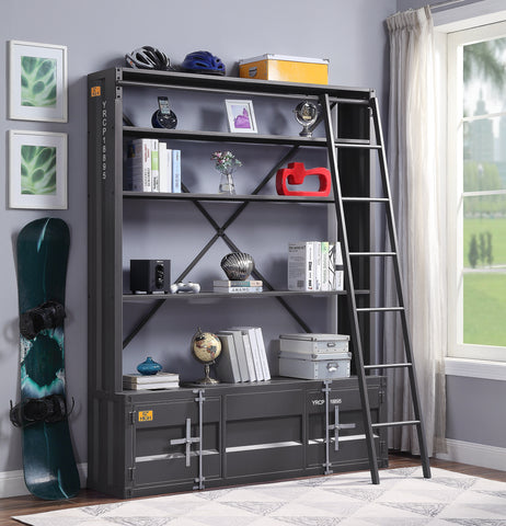 Cargo Gunmetal Bookshelf & Ladder